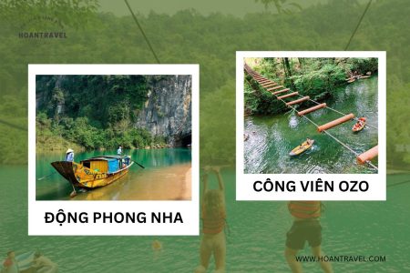 ĐỘNG PHONG NHA – CÔNG VIÊN OZO TREE TOP